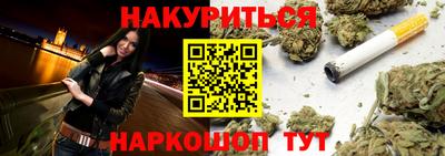 дмт Бийск