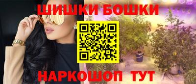 крисы Беслан