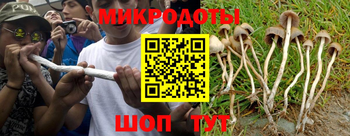 Галлюциногенные грибы мухоморы Камень-на-Оби