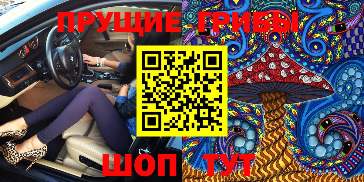 Псилоцибиновые грибы MAGIC MUSHROOMS  Вход с VPN  Камень-на-Оби  Галлюциногенные грибы Magic Shrooms 